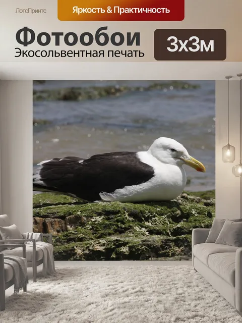 Фотообои Природа