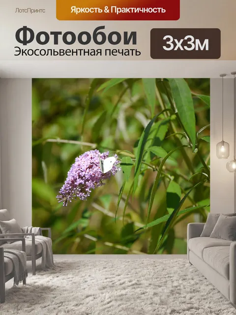 Фотообои Бабочка