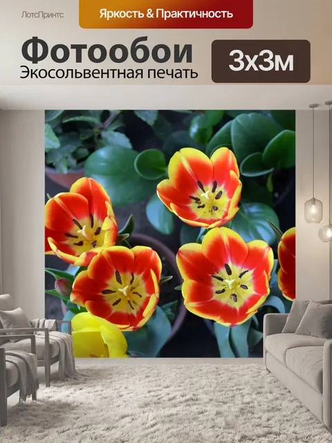 Фотообои Пестрые тюльпаны
