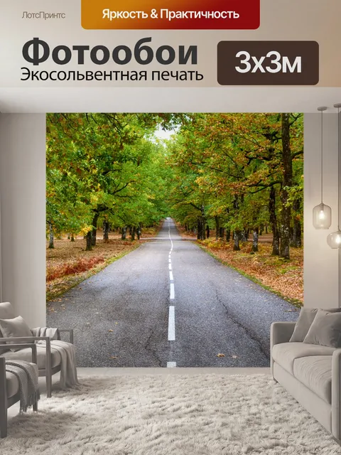 Фотообои Дорога, лежащая впереди в лесу