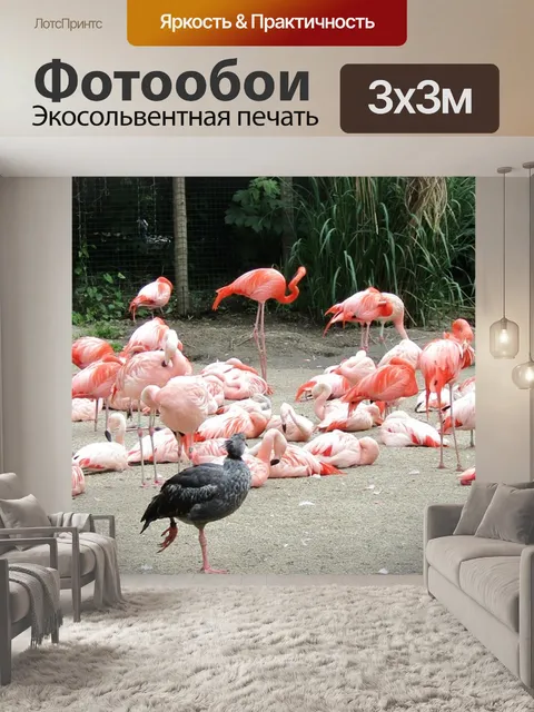 Фотообои Фламинго