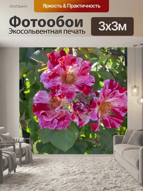Фотообои Розовые цветы