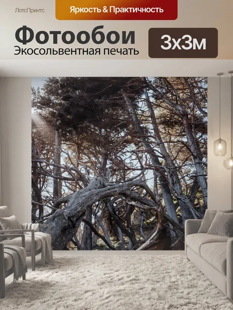 Фотообои Деревья