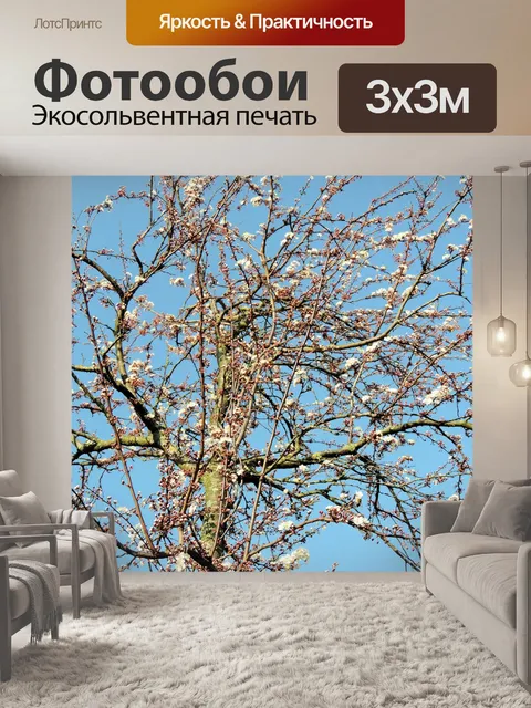 Фотообои Весна