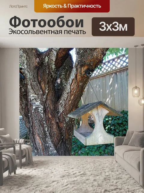 Фотообои кормушка для птиц