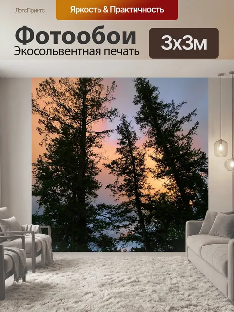 Фотообои Деревья