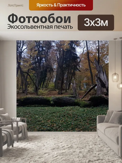 Фотообои Лес