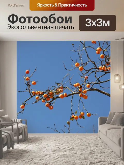 Фотообои Хурма