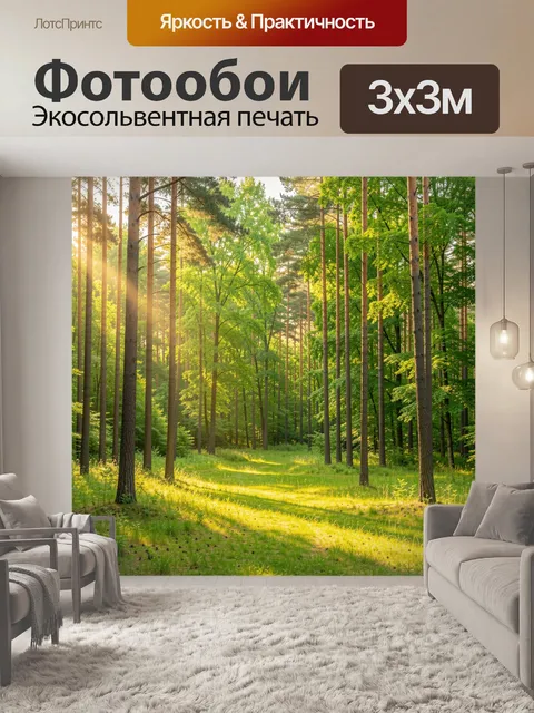 Фотообои Солнечный лес с тропинкой