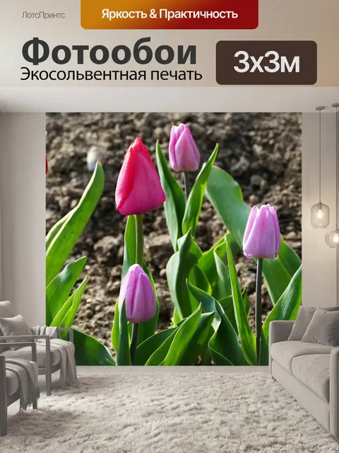 Фотообои Пейзаж