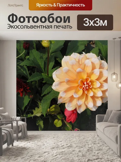 Фотообои Георгин