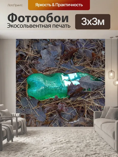 Фотообои Мусор на лесном полу
