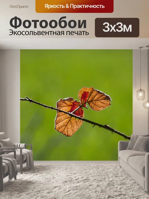 Фотообои Листья