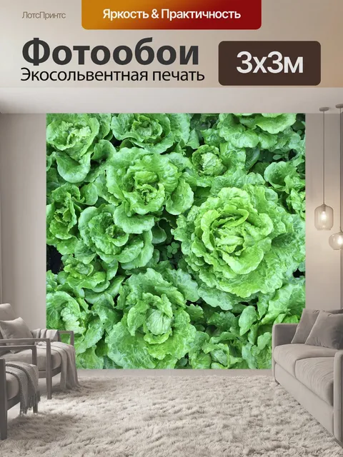 Фотообои Овощ