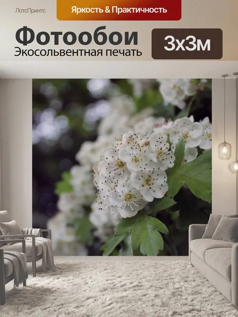 Фотообои Дерево