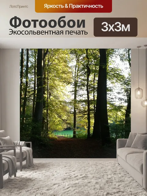 Фотообои Лес