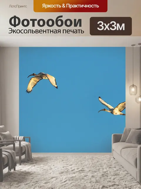 Фотообои Священный ибис