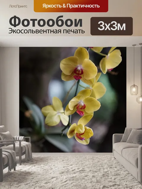 Фотообои Орхидеи