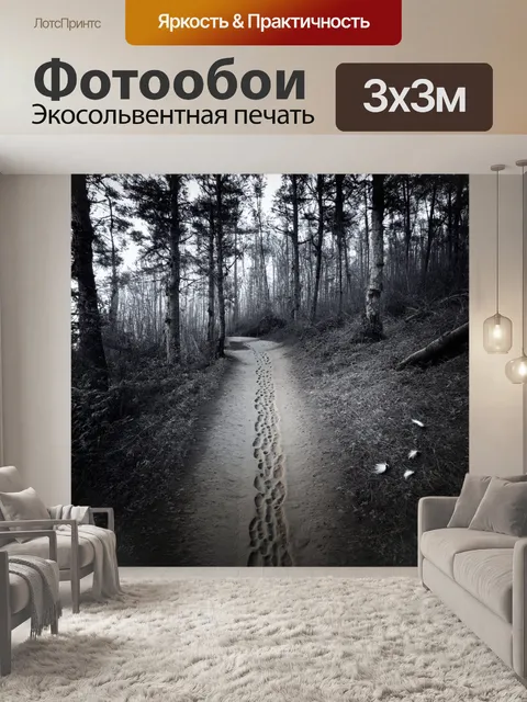 фотообои лес в стиле черно-белый: лесная тропа