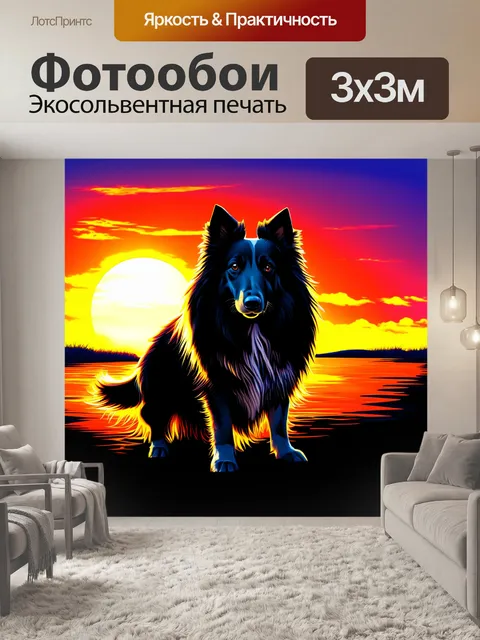 Фотообои силуэт колли на фоне заката, где яркие цвета неба отражаются в её шерсти
