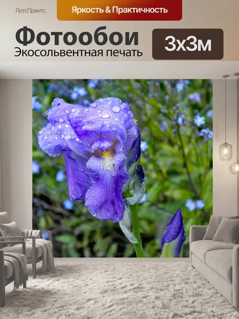 Фотообои Ирис
