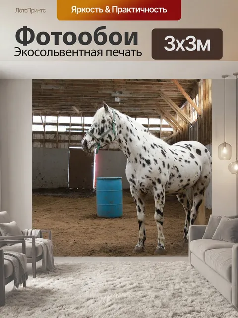 Фотообои Лошади