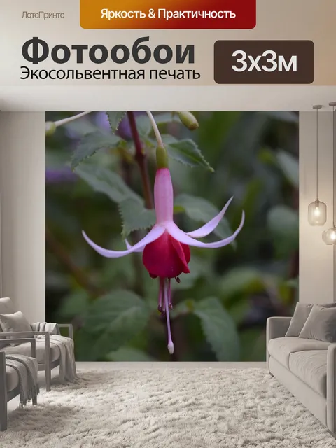 Фотообои Фуксия