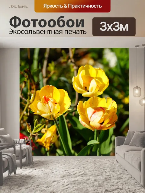Фотообои Тюльпаны