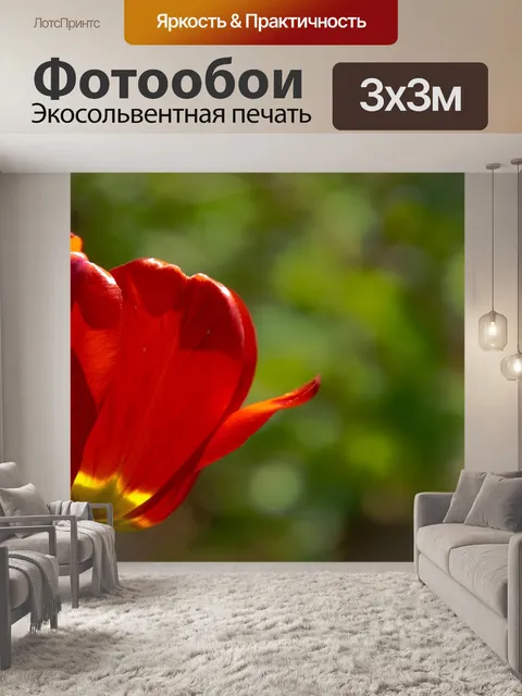 Фотообои Тюльпаны