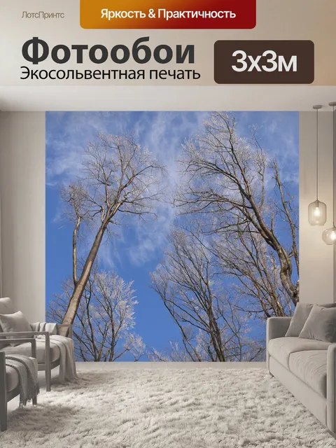 Фотообои Деревья