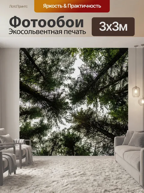 Фотообои Лес