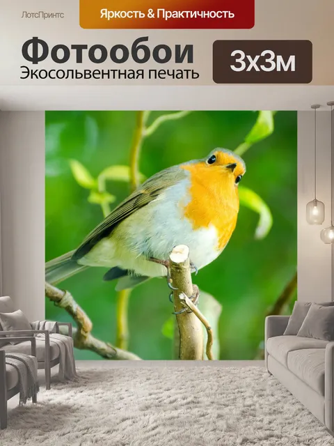 Фотообои Птица