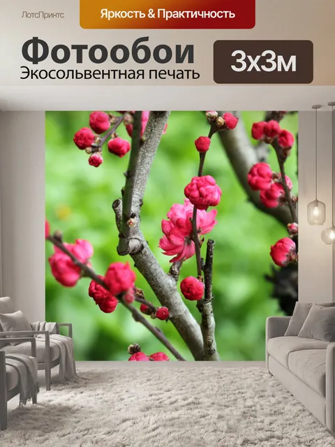 Фотообои Персик цветок в цвету