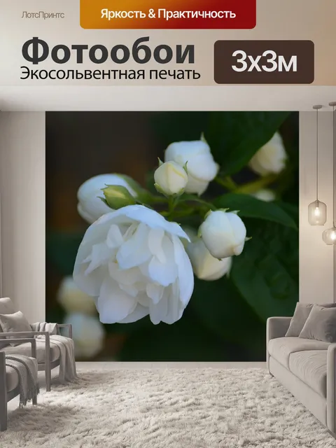 Фотообои Цветы