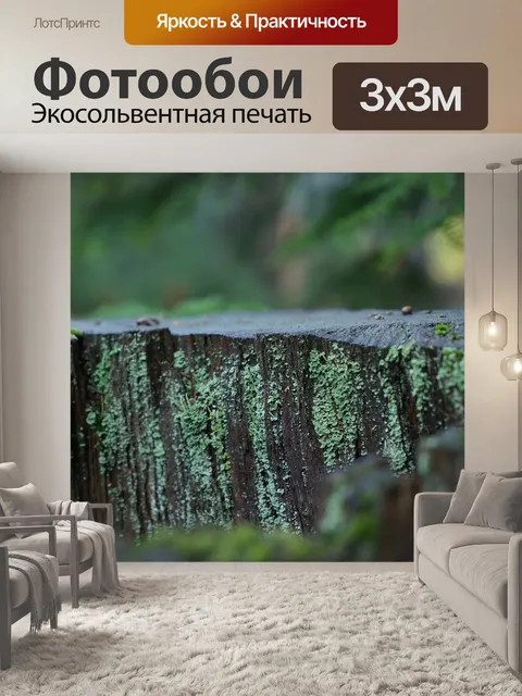 Фотообои Мох