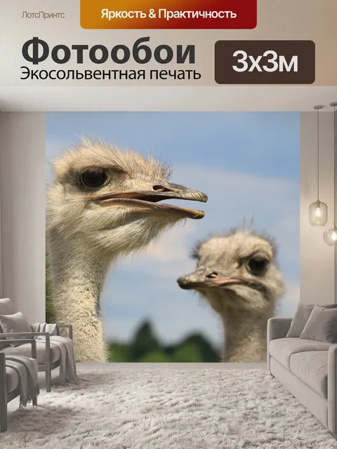 Фотообои Птица