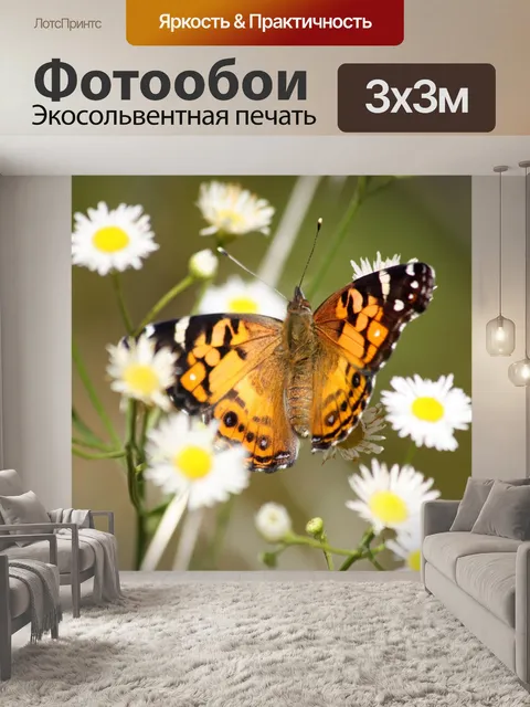 Фотообои Американская леди Баттерфляй 2