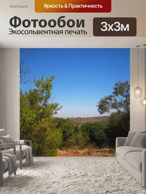 Фотообои вид на ядерный комплекс Пелиндаба