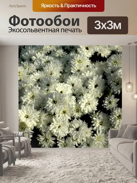 Фотообои Хризантемы
