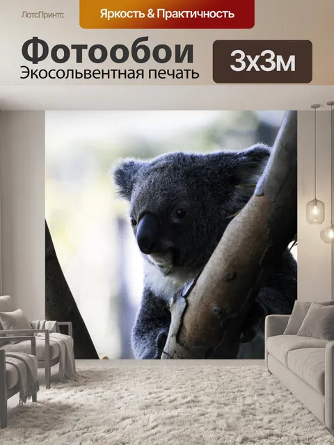 Фотообои Коала медведь в дерево