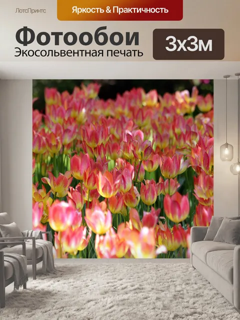 Фотообои Тюльпаны