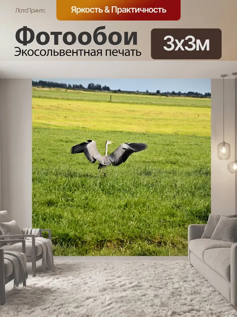Фотообои Цапля