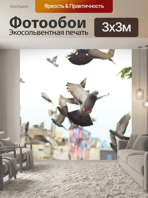 Фотообои Птица