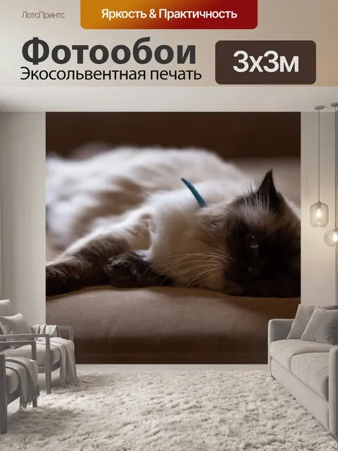 Фотообои Диван