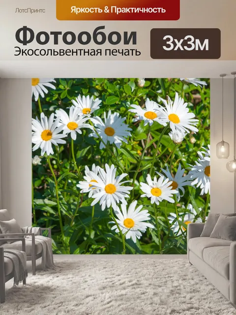 Фотообои Дэйзи цветы