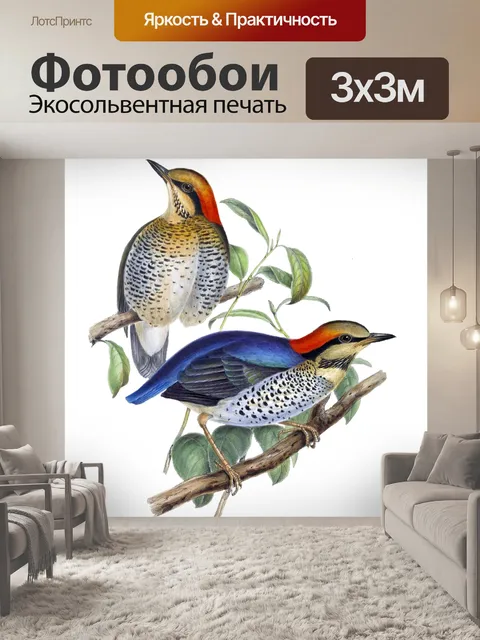 Фотообои Птица прозрачный винтаж арт