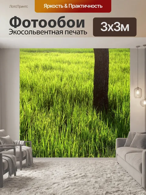 Фотообои Зеленое рисовое поле