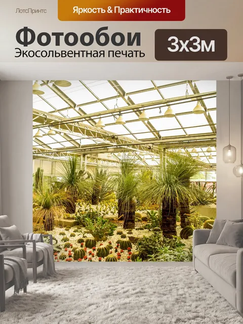 Фотообои Кактусовое пустынное растение
