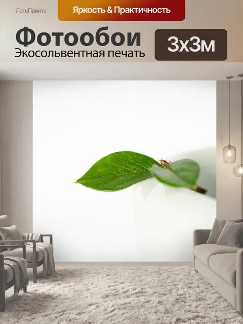 Фотообои Зеленые листья на белом чаша