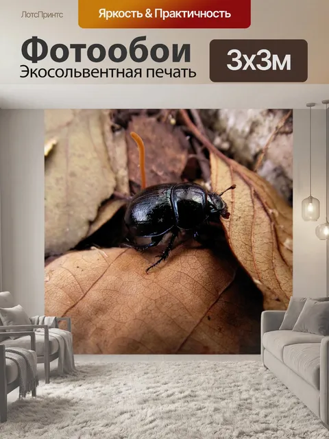 Фотообои Лес